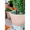 Orbit Hose-End Planter Drip Watering Kit