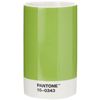 Pantone Pencil Cup, Green 15-0343