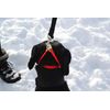 K9 Bridle - to stop your dog pulling (Medium, Red)
