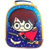Harry Potter 'Quidditch' EVA Lunch Bag