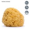 SUAVINEX 3302927 Sponge Natural Large
