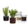 Iittala Kastehelmi 1015372 Container, 11.6 "x 4.5, Clear