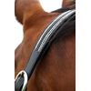 Hy Equestrian Anodize Leather Head Collar (Cob, Black/Silver)