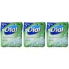 Dial Antibacterial Deodorant Soap, Mountain Fresh, 4 Ounce, 3 Bars