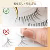 Lashidol False Eyelashes, Natural, Transparent Base, Handmade, DIY at Home, For Daily Makeup, 5 Pairs (Sweet Idol)
