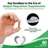 Magnesium Glycinate Chelated for Maximum Absorption, Support Strong Bones 90 Cap