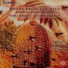 Honey from the Hive