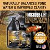 MICROBE-LIFT MLCBSE1L Concentrated Barley Straw Extract Conditioner for Ponds