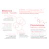 Fitomelatonina Lipgel Plus 50 ml