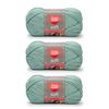 Red Heart Bulk Buy: Soft Yarn (3-Pack) Seafoam E728-9520