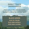 Rishi Tea Black Lemon Sparkling Botanicals Sparkling Water - Organic, Unsweetened, Zero Added Sugar, Caffeinated, Craft-Brewed From Real Plants - 12 oz (Pack of 12)