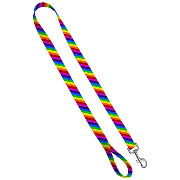 Moose Pet Wear Deluxe Dog Leash - Patterned Heavy Duty Pet Leashes, 1 Inch x 4 Feet, Rainbow Stripe