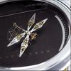 Mechanical Metal DIY 3D Insect Brass Puzzle (Dragonfly B)