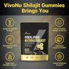 Shilajit Gummies, Shilajit micronutrient supplement, Himalayan premium     