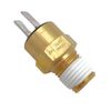 Pentair 42002-0025S Replacement 140F AGS Switch 12 Month Warranty