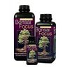 bonsai focus 300ml FREE SYRINGE