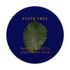 Massachusetts Territory Tree The American Elm PopSockets Adhesive PopGrip