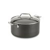 (2) All-Clad Essentials Nonstick 4-qt soup Pot with Lid