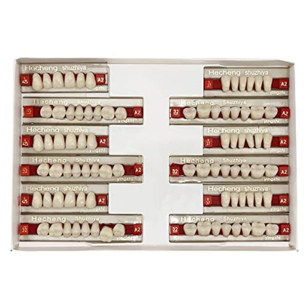 84 Pcs False Teeth Dental Complete Acrylic Resin Denture Teeth, 3 Sets Whole Teeth Synthetic Polymer Denture Tooth, 23 Shade A2 Upper + Lower Dental Materials for Replacement, DIY or Halloween