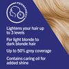 Schwarzkopf LIVE Intense Colour, Up To 50% Grey Coverage, Permanent Blonde Hair Dye, With Caring Oils and Keratin, Lightens Hair Up To 2 Levels, Cool Blonde B10