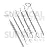 6 Pcs Basic Dental Prophy Set Stainless Steel Surgical Veterinary Instrument Kit