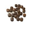 Walnut Side Grain Screw Hole Plugs 1/2" 100 pack