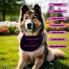 Personalized dog slobber bib - High quality waterproof material - super comfortable & adjustable neck strap