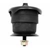 Replacement Radiator Support Body Mount Bushing and Bolt Kit for GM Pickup SUV
