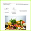 Manda Wellness Superfood | Prebiotic, Fermented Health Product Made in Japan | Support Your Gut Health, Support Your Immune System | Manda Koso (31sachets)