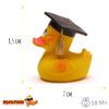 Diploma Rubber Duck