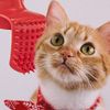 Lick'em Tongue Cat Brush - Fairly Odd Novelties - FON-10280 Funny Novelty White Elephant Gag Gift For Cat Lovers