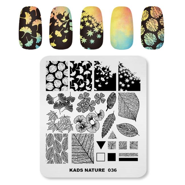 Alexnailart Professional Stamping Plates Autumn Leaves Ginkgo Maple Leaf Template Manicure Printing Tool