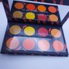 Tarte Pressed Eyeshadow Pigment Palette SPICY BETCH