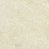 Nelpara Velvet Powder #27 White