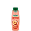 Palmolive 2 in 1 Hydra Balance Shampoo x 1