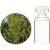 Life Tree Tea Tree 3.4 fl oz (100 ml)
