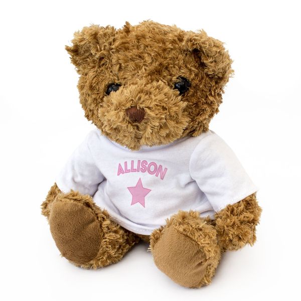 NEW - ALLISON Teddy Bear - Cute Soft Cuddly - Gift Present Xmas Birthday