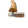 Polly's Full Length Hardwood Bird Perch, 28-Inch