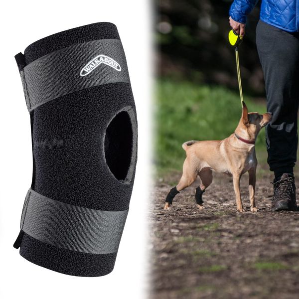 WALKABOUT Hock Support Brace (Xlarge 9"-11")