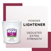 Clairol Professional Basic White 2 Powder Lighteners For Unisex 8 oz Lightener