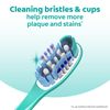 Colgate 360 Toothbrush with Tongue and Cheek Cleaner - Medium (1 Pack)