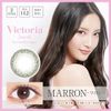 ヴィクトリア　2ウィーク　1箱6枚入 【カラー】マロン　【度数】-6.00