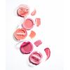 Whizzy Slick Move Lip & Cheek (#On Fleek, 0.14 oz)