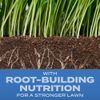 SCOTTS GRASS SEED Turf Builder Sun & Shade Mix 960 Sq ft 2.4LB