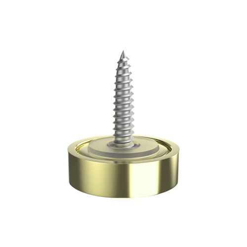 Aopin Mirror Screw Cap, Decorative Screws Cover Fasteners for Sign/Advertising Hardware Nails/Construction, Arc Gold, 14mm, 1Pcs