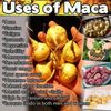wellness formula - MACA PLUS 1300MG 2B - stinging nettle extract 