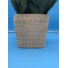 15" Artificial Pine Cone Arrangement - Threshold designed with Studio McGee