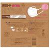 Hakugen Comfort Guard Standard Mask, 1 Box, Small Size, 40 Pieces