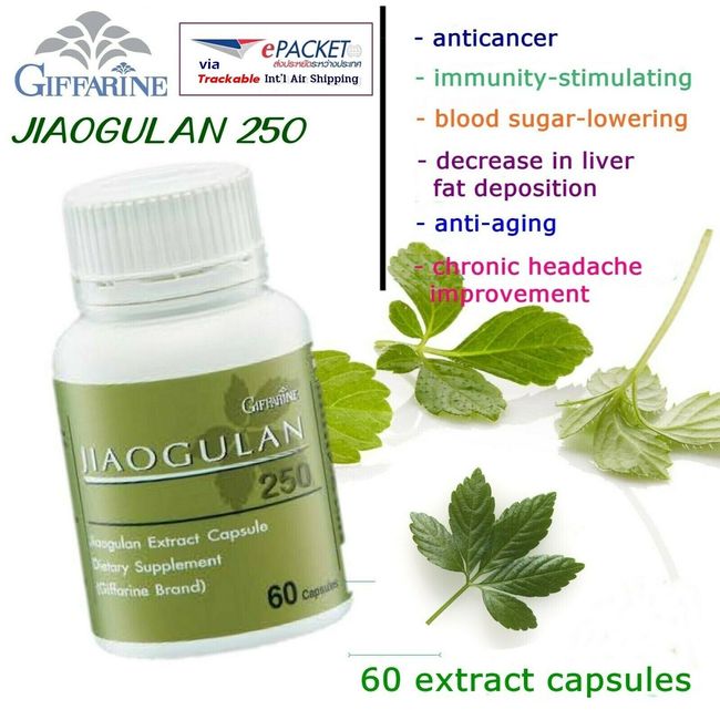 Jiaogulan 250 Jiaogulan Extract Capsule 60 Capsules GIFFARINE Dietary Supplement