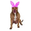 Crinkle Pink Bunny Ears Pet Headband, Medium/Large